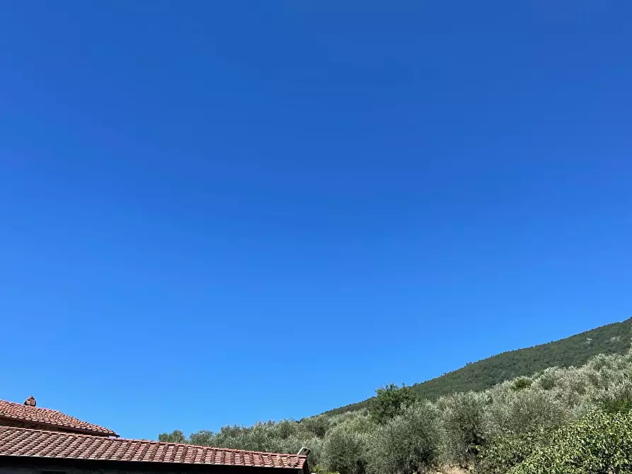 Immagine 23 di Villa in vendita  a Calci