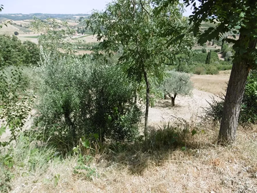 Immagine 10 di Appartamento in vendita  a Empoli