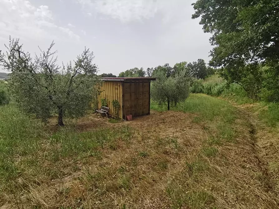 Immagine 6 di Terreno agricolo in vendita  a Capannoli
