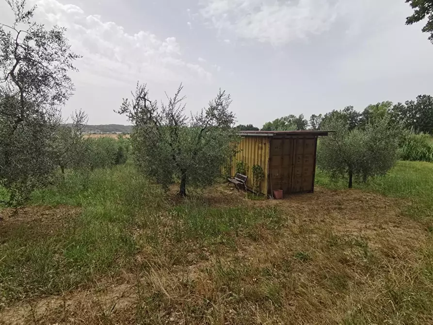 Immagine 2 di Terreno agricolo in vendita  a Capannoli