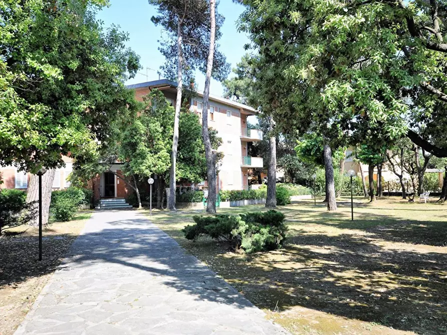 Immagine 18 di Appartamento in vendita  a Montignoso