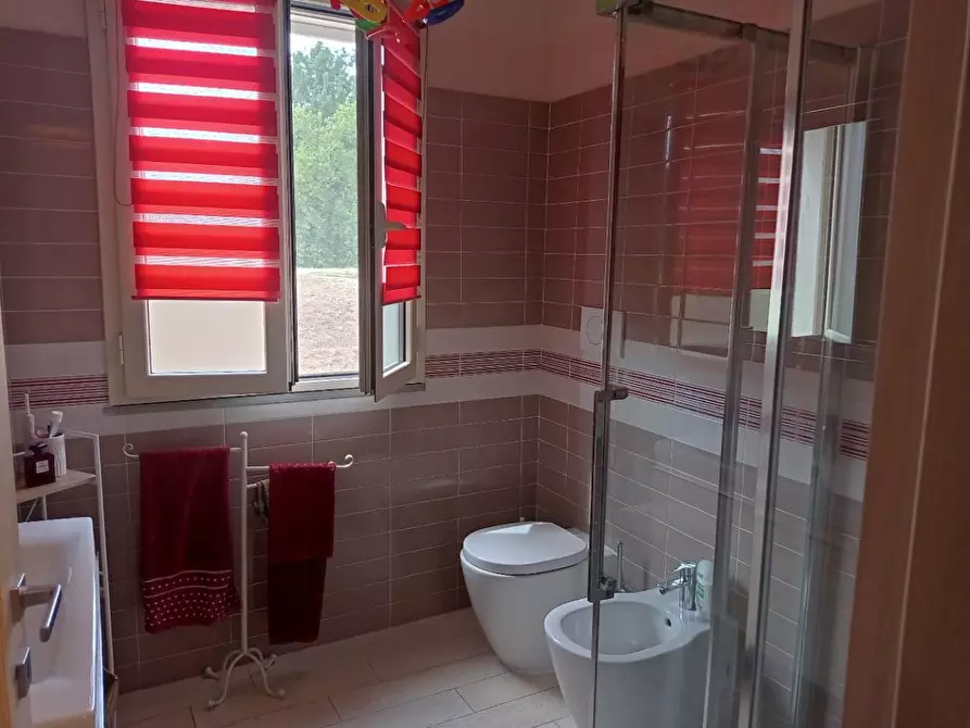 Immagine 21 di Rustico / casale in vendita  a San Giuliano Terme