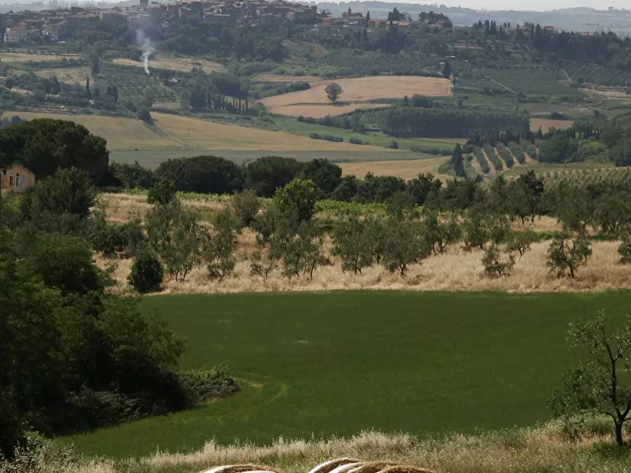 Immagine 1 di Terreno residenziale in vendita  a Peccioli