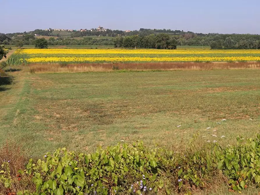 Immagine 10 di Casa colonica in vendita  a Peccioli