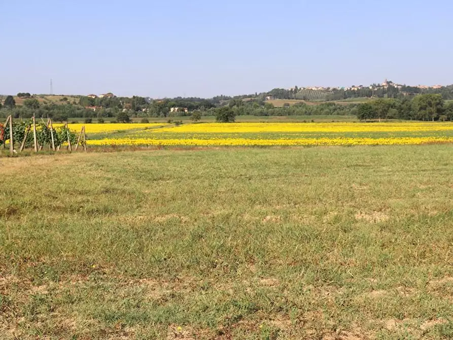 Immagine 11 di Casa colonica in vendita  a Peccioli