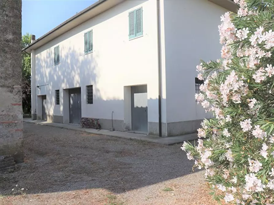 Immagine 6 di Casa colonica in vendita  a Peccioli