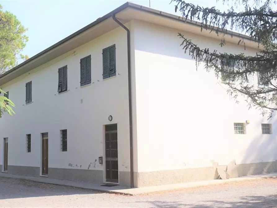 Immagine 2 di Casa colonica in vendita  a Peccioli