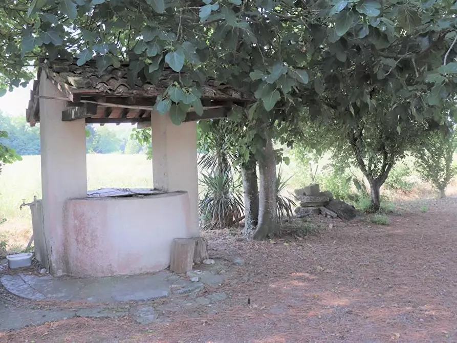 Immagine 8 di Casa colonica in vendita  a Peccioli