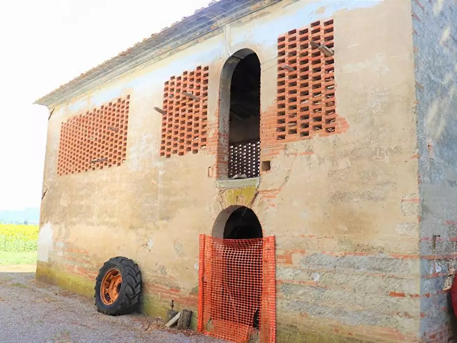 Immagine 7 di Casa colonica in vendita  a Peccioli