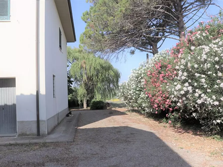 Immagine 3 di Casa colonica in vendita  a Peccioli