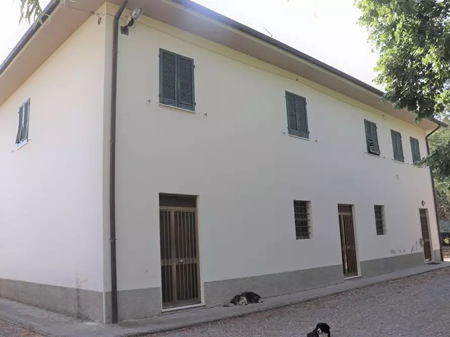 Immagine 5 di Casa colonica in vendita  a Peccioli