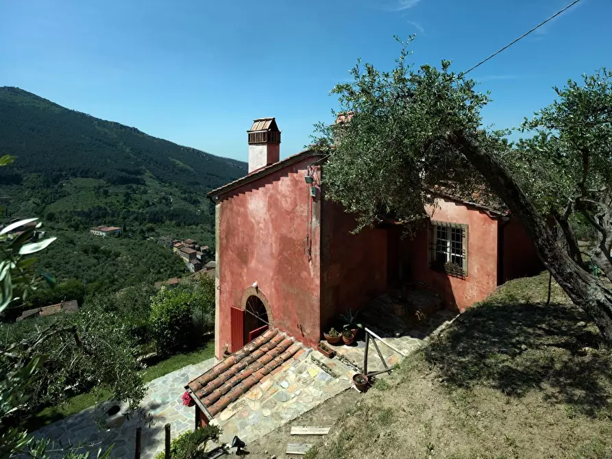 Immagine 26 di Rustico / casale in vendita  a Pisa