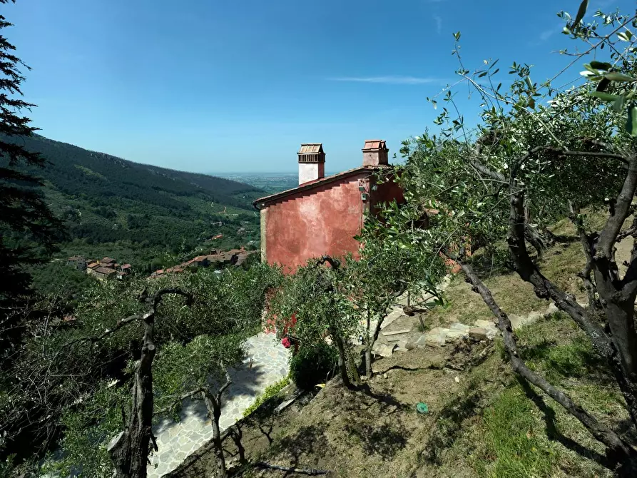 Immagine 25 di Rustico / casale in vendita  a Pisa