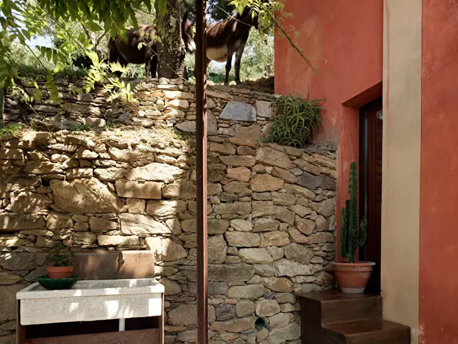 Immagine 28 di Rustico / casale in vendita  a Pisa