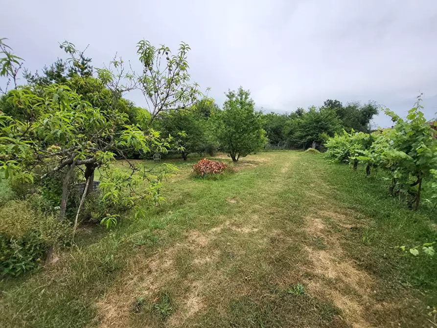 Immagine 2 di Terreno residenziale in vendita  a Altopascio