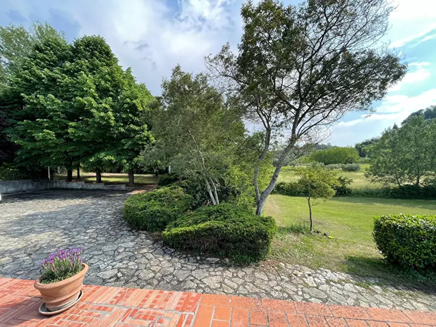 Immagine 19 di Villa in vendita  a Crespina Lorenzana