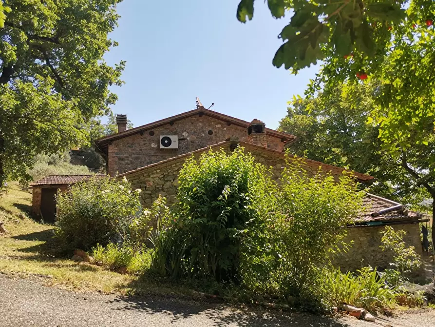 Immagine 21 di Casa colonica in vendita  a Casole D'elsa