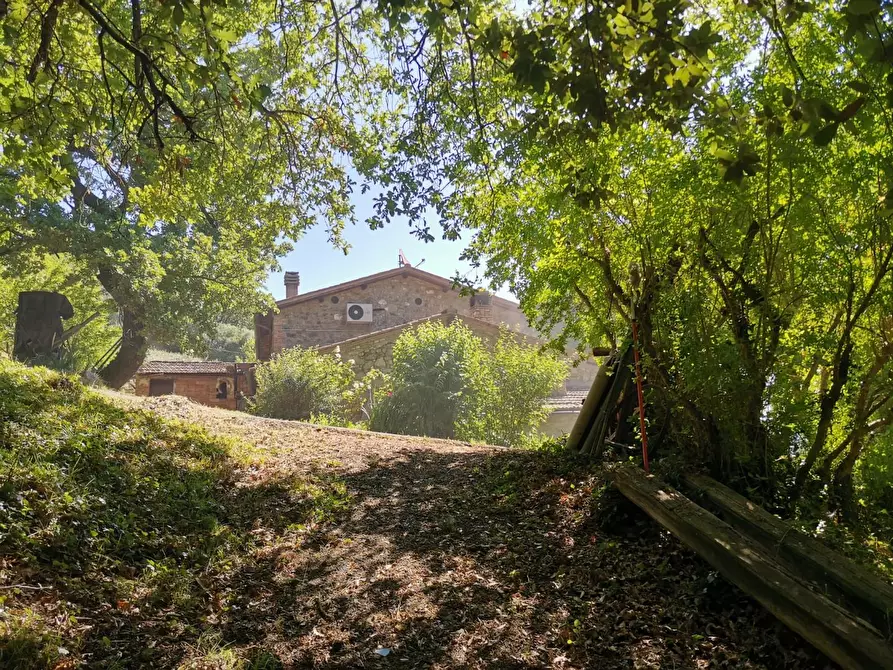 Immagine 20 di Casa colonica in vendita  a Casole D'elsa