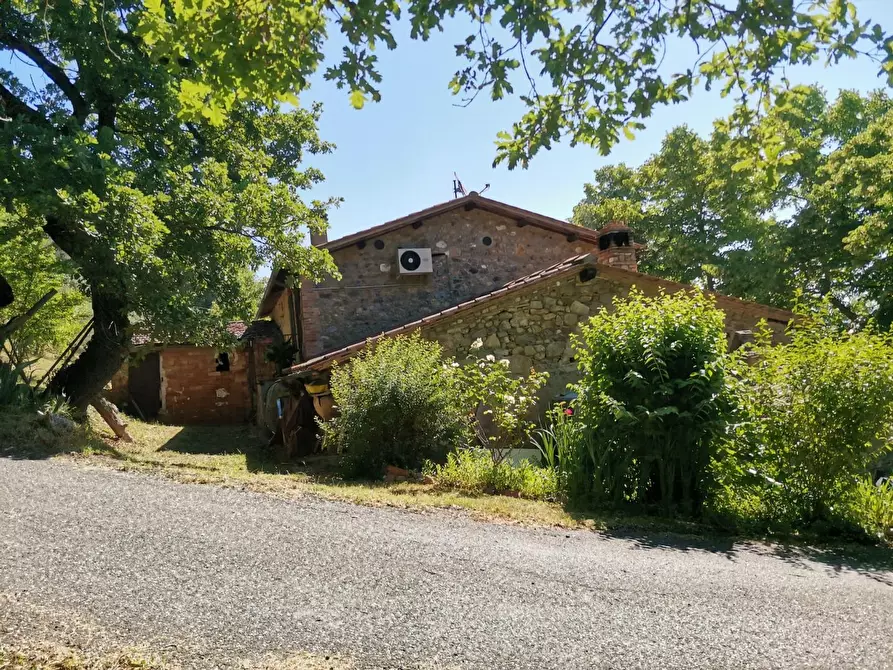 Immagine 23 di Casa colonica in vendita  a Casole D'elsa