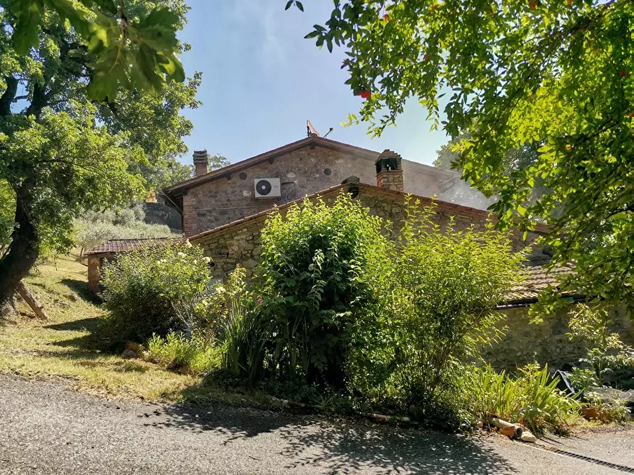 Immagine 1 di Casa colonica in vendita  a Casole D'elsa