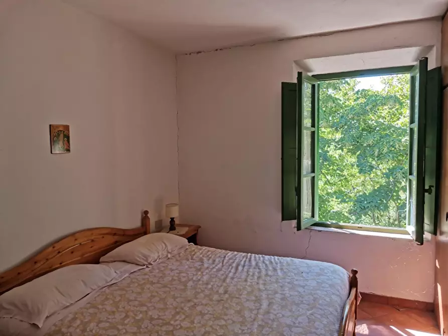 Immagine 42 di Casa colonica in vendita  a Casole D'elsa