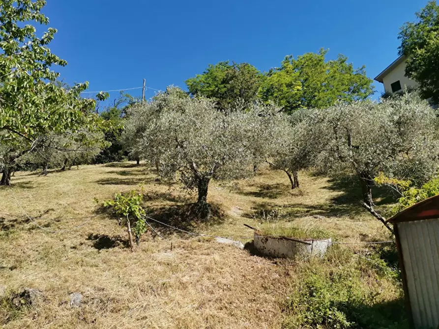 Immagine 31 di Casa colonica in vendita  a Casole D'elsa