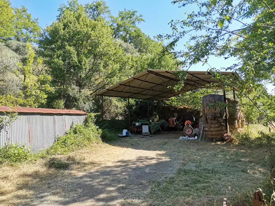 Immagine 29 di Casa colonica in vendita  a Casole D'elsa