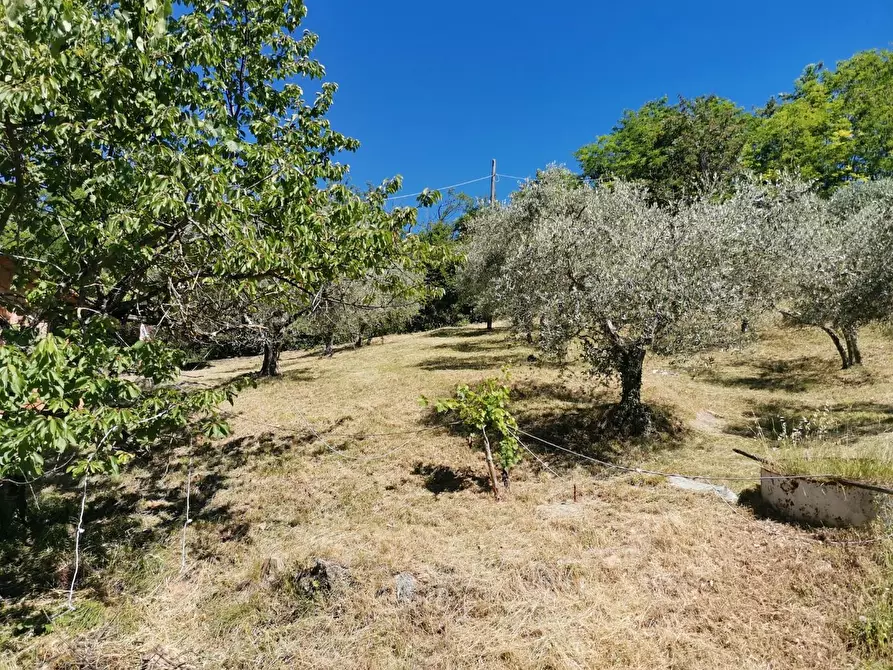 Immagine 32 di Casa colonica in vendita  a Casole D'elsa
