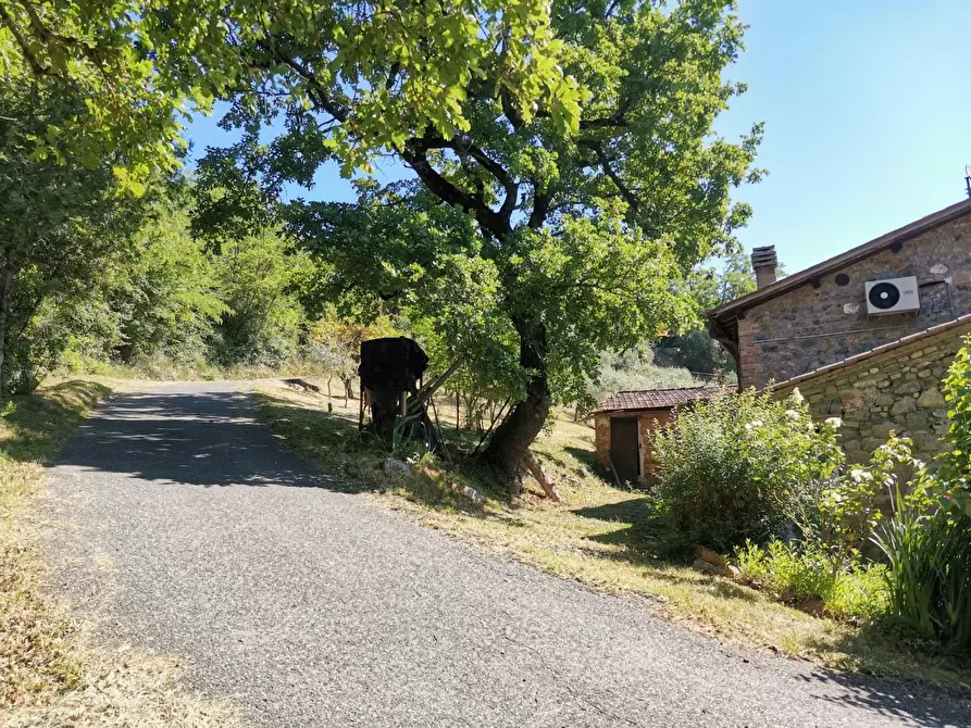 Immagine 22 di Casa colonica in vendita  a Casole D'elsa
