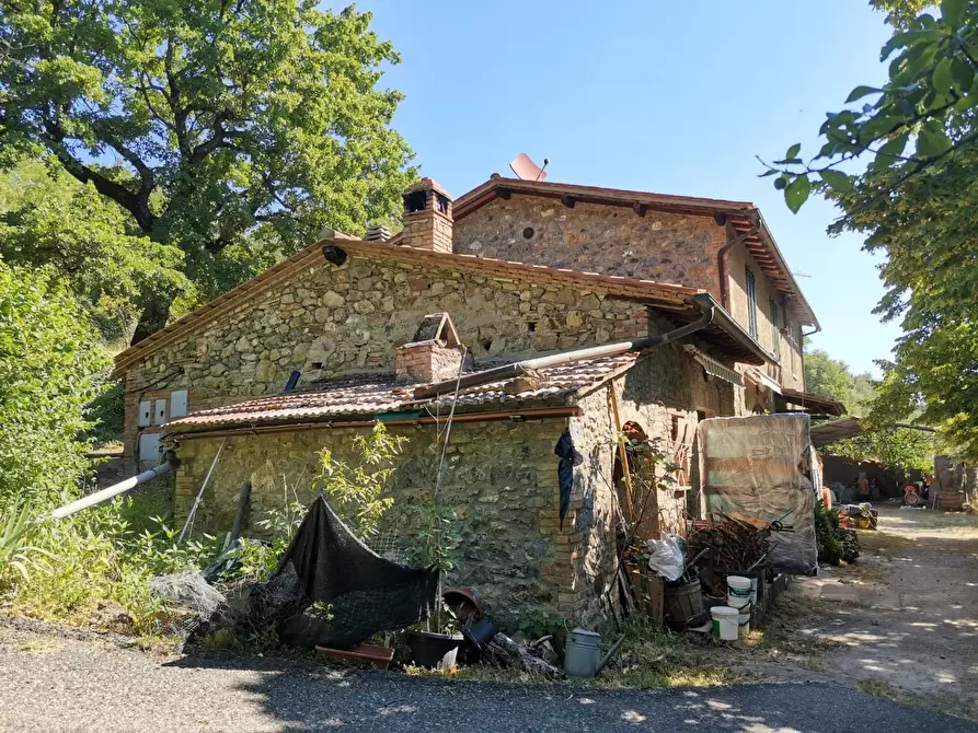 Immagine 25 di Casa colonica in vendita  a Casole D'elsa