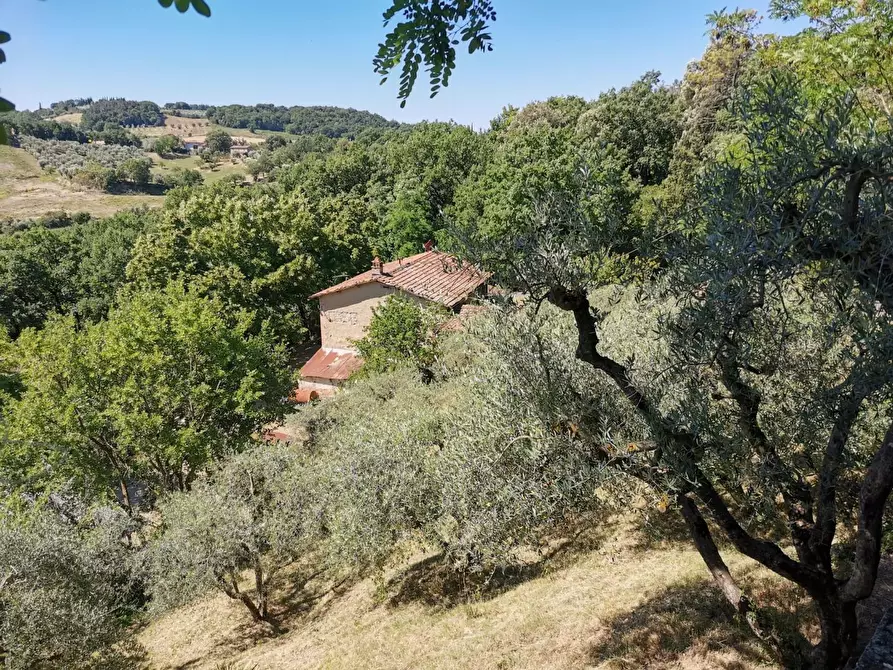 Immagine 47 di Casa colonica in vendita  a Casole D'elsa