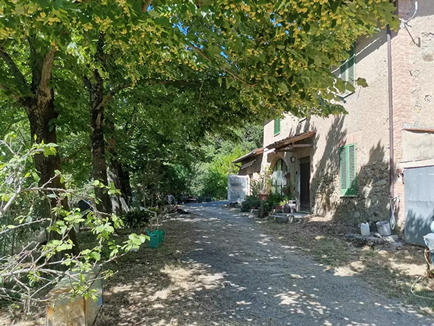Immagine 28 di Casa colonica in vendita  a Casole D'elsa