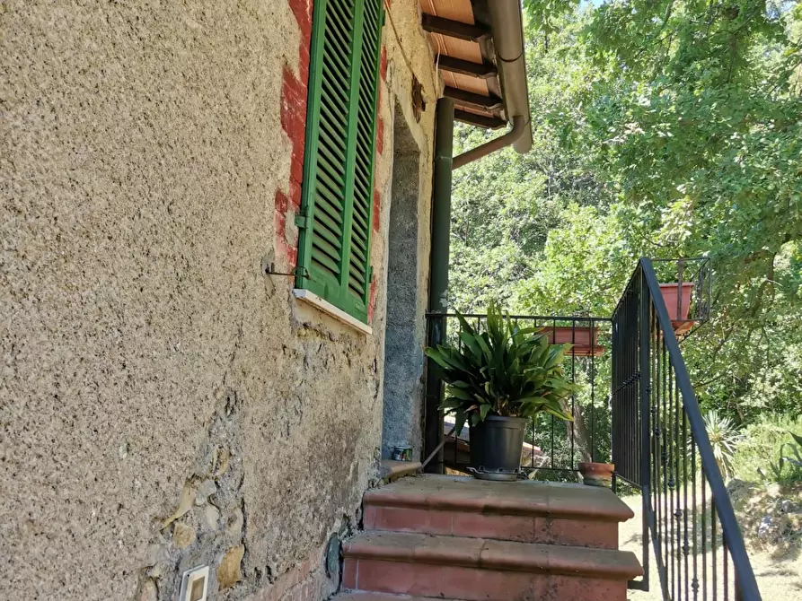 Immagine 38 di Casa colonica in vendita  a Casole D'elsa