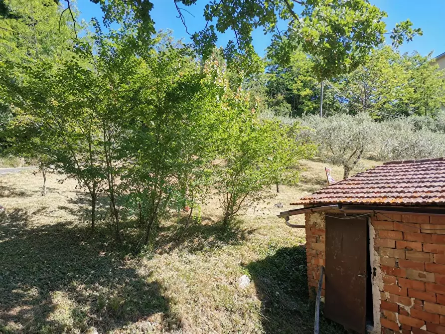 Immagine 39 di Casa colonica in vendita  a Casole D'elsa