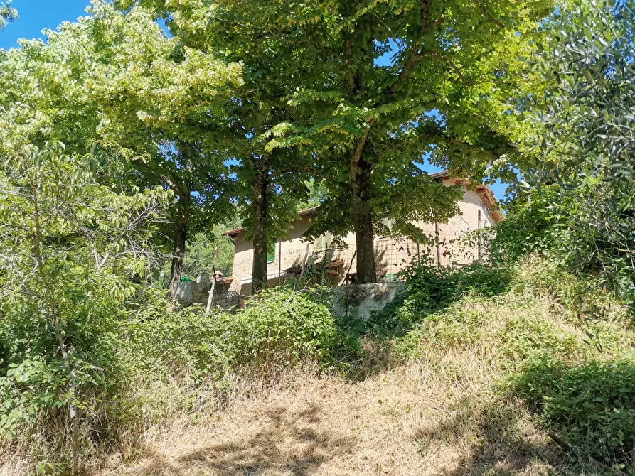 Immagine 26 di Casa colonica in vendita  a Casole D'elsa