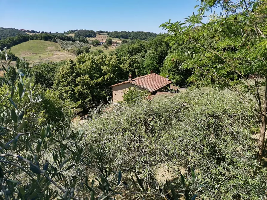 Immagine 46 di Casa colonica in vendita  a Casole D'elsa
