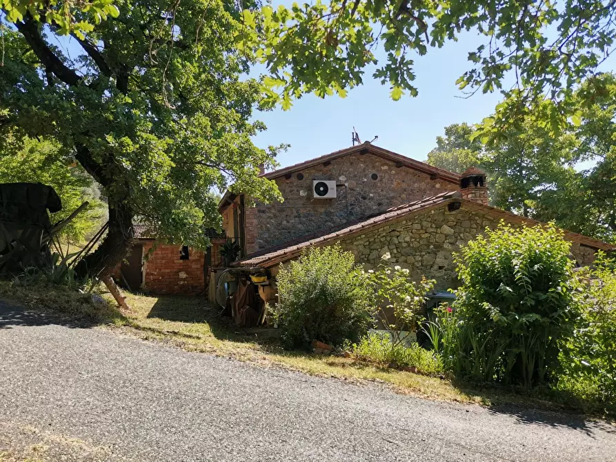 Immagine 24 di Casa colonica in vendita  a Casole D'elsa