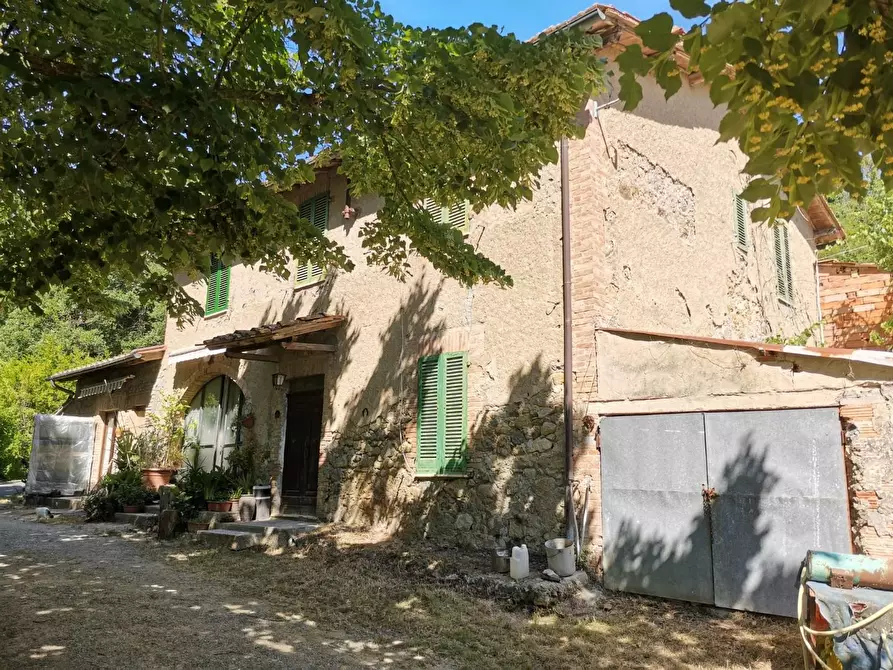 Immagine 33 di Casa colonica in vendita  a Casole D'elsa