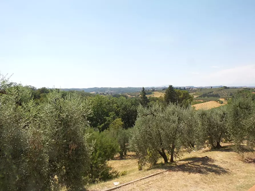 Immagine 33 di Villa in vendita  a Castelfiorentino
