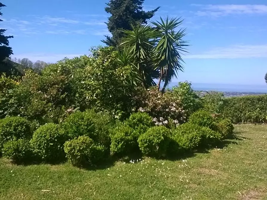 Immagine 21 di Villa in vendita  a Camaiore