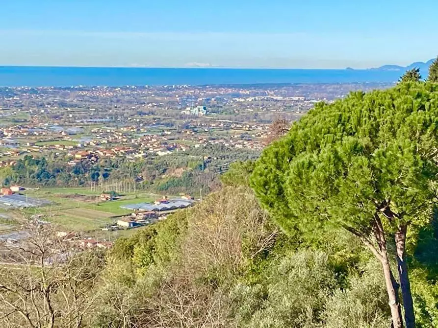 Immagine 10 di Villa in vendita  a Camaiore