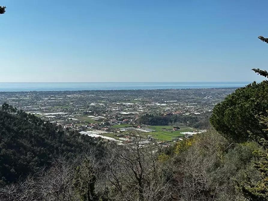 Immagine 63 di Villa in vendita  a Camaiore