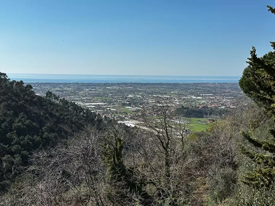 Immagine 52 di Villa in vendita  a Camaiore
