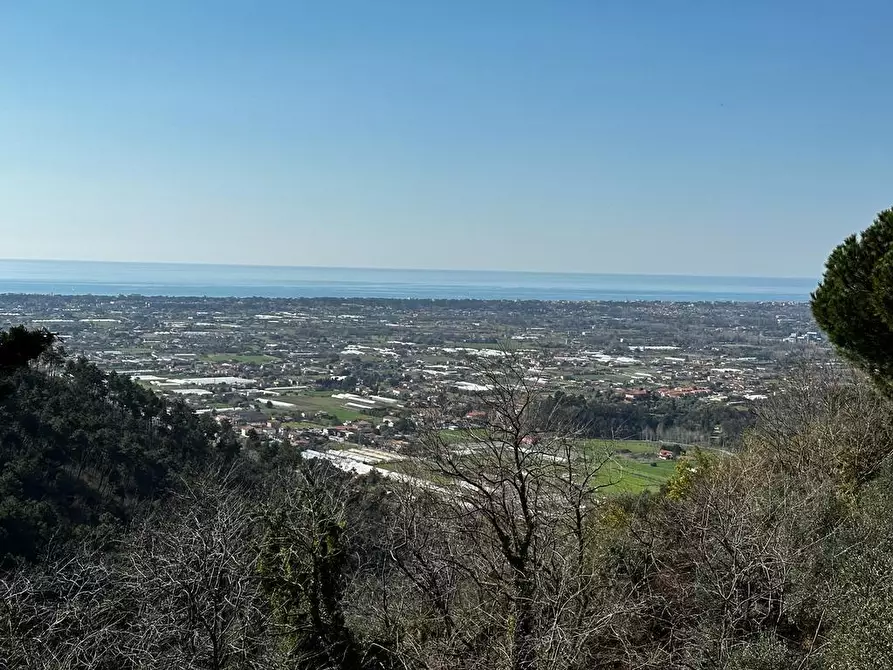 Immagine 55 di Villa in vendita  a Camaiore