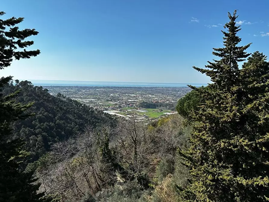 Immagine 58 di Villa in vendita  a Camaiore