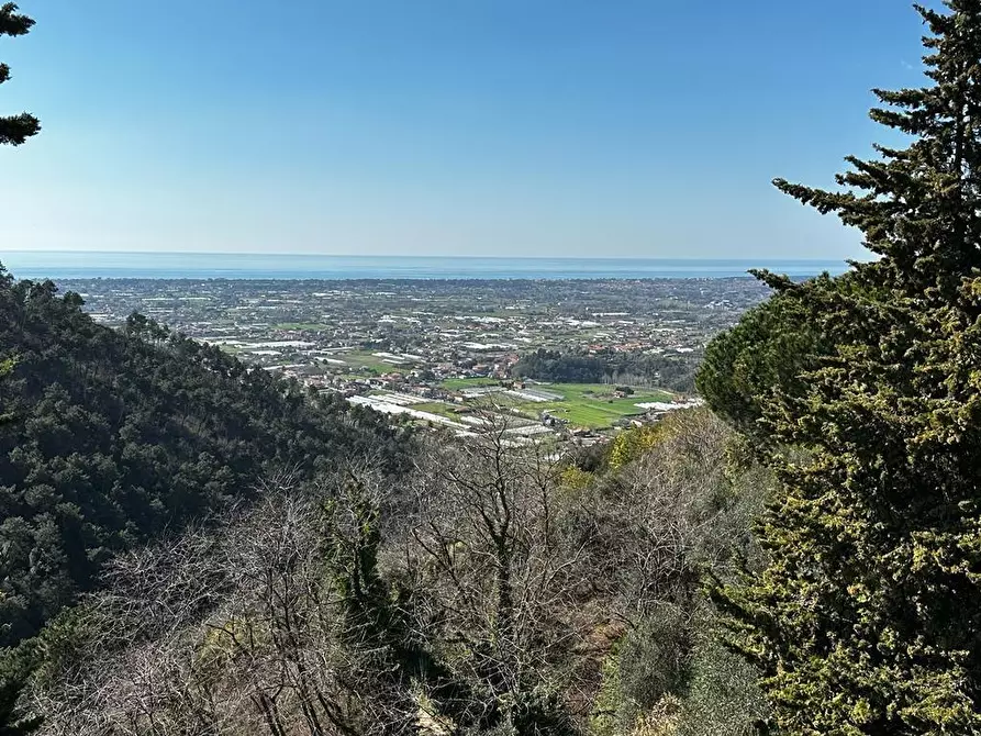 Immagine 59 di Villa in vendita  a Camaiore