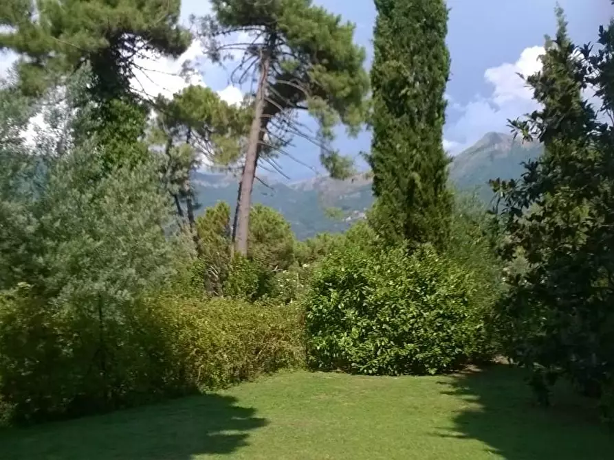 Immagine 48 di Villa in vendita  a Camaiore