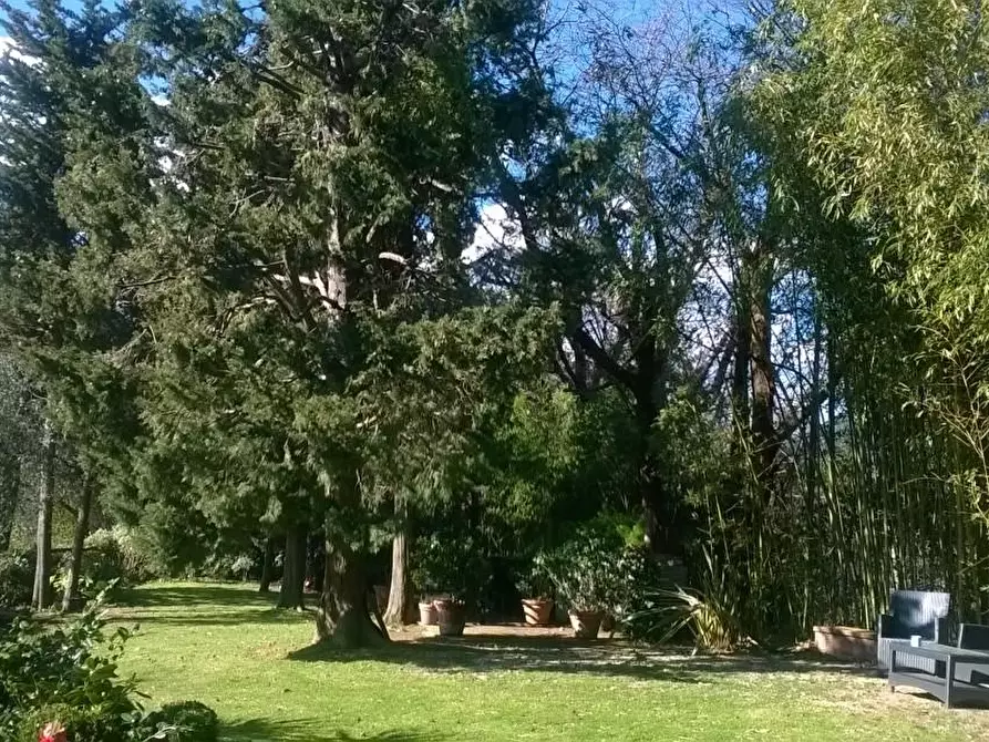 Immagine 9 di Villa in vendita  a Camaiore