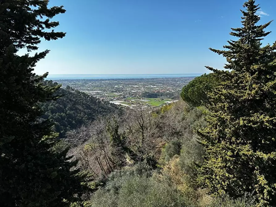 Immagine 60 di Villa in vendita  a Camaiore