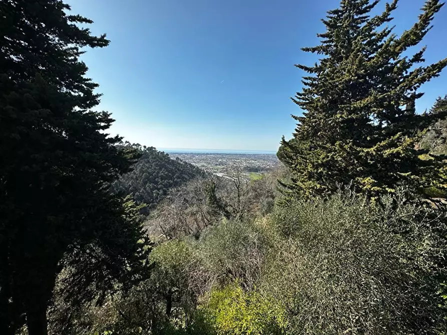 Immagine 53 di Villa in vendita  a Camaiore